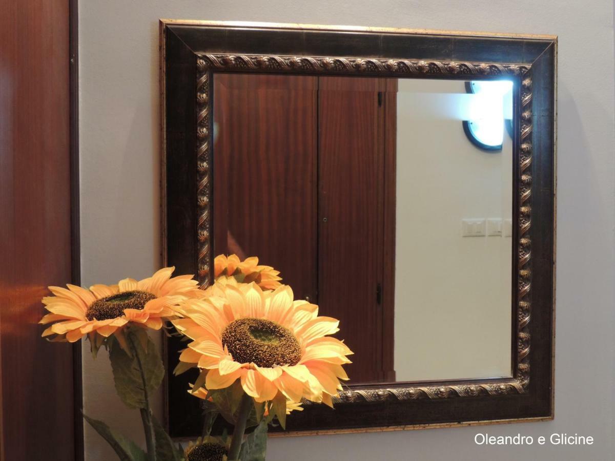 Oleandro E Glicine Apartment เลชเช ภายนอก รูปภาพ